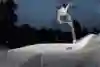 Mike Campbell, Ollie
