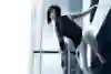 Mirror's Edge
