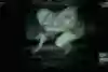 Outlast