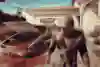 Dead Island 2