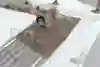 JP Souza – Switch flip