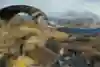 Just Cause 3