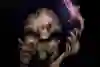 Underworld Ascendant