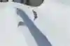 Markus Keller, Double Pipe 2014