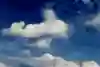 S láskou, Flying Bulls