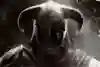 The Elder Scrolls V: Skyrim