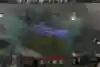 Catching everything in-game is an essential skill