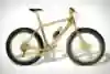 The Solid Gold Bike