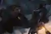 Screen shot from the new Rise of the Tomb Raider video game by Crystal Dynamics