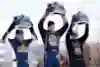 Red Bull Frozen Rush 2016 podium Red Bull Frozen Rush 2016 podium