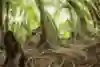 Dan Atherton shows off his Enduro skills