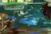 New to Street Fighter? Play Ryu