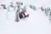 Eddie the Eagle sets a sledding record 