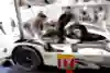 Montoya tested Porsche's Le Mans car in 2015