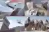 Get ready to see all sorts of vehicles