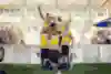 Os campeões se emocionaram no pódio