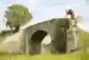 Danny's approach to bridges is stranger than most