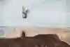 Brandon Semenuk, back flip one foot can