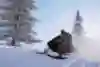 Snowmobiles are a hoot
