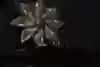 A screenshot from Bettig’s encounter