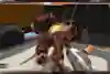 A screenshot of Robotcraft creator mode