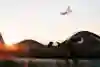 Szymon Godziek - superman seatgrab indian air