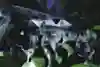 ENTER THE NOISE