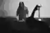 ENTER THE NOISE