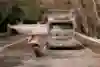マルク・マルケス×デコトラ