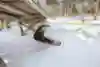ゼブ・パウエル