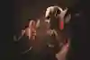 Red Bull 64 Bars - ID