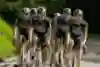 Red Bull - BORA - drużyna hansgrohe Tour the France na przejażdżce treningowej