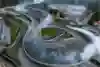 DMEC w Rydze w 2023 roku
