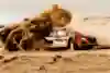 WRC Rally Saudi Arabia 2025, Mārtiņš Sesks / Renars Francis