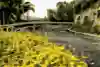 WRC Rally Islas Canarias, stage
