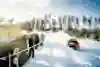 Thierry Neuville / Martijn Wydaeghe, WRC Rally Sweden 2025