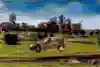 WRC ueno Rally del Paraguay 2025, McErlean