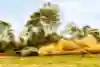 WRC ueno Rally del Paraguay 2026, Adrien Fourmaux/ Alexandre Coria