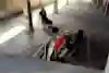 Dominik Hrachovina a monopost F1 