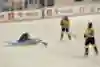 Jakub Krejčí s hokejisty HC Verva Litvínov