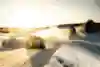 HYUNDAI SHELL MOBIS WORLD RALLY TEAM 