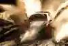 HYUNDAI SHELL MOBIS WORLD RALLY TEAM 