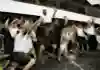 Brawn GP won both titles in 2009
