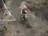 大坪頂地質鬆軟,車手搭配全副武裝,刺激之餘也兼顧安全性 大坪頂地質鬆軟,車手搭配全副武裝,刺激之餘也兼顧安全性