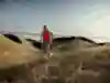 Dylan Bowman runs on Mount Tamalpais in Marin, CA, USA on 18 August, 2016