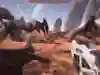 Exploring the world in Osiris New Dawn