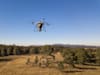 Drone'ların ağaç dikme seferberliği