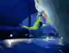 Bouldern unter dem Dach des Olympiastadions