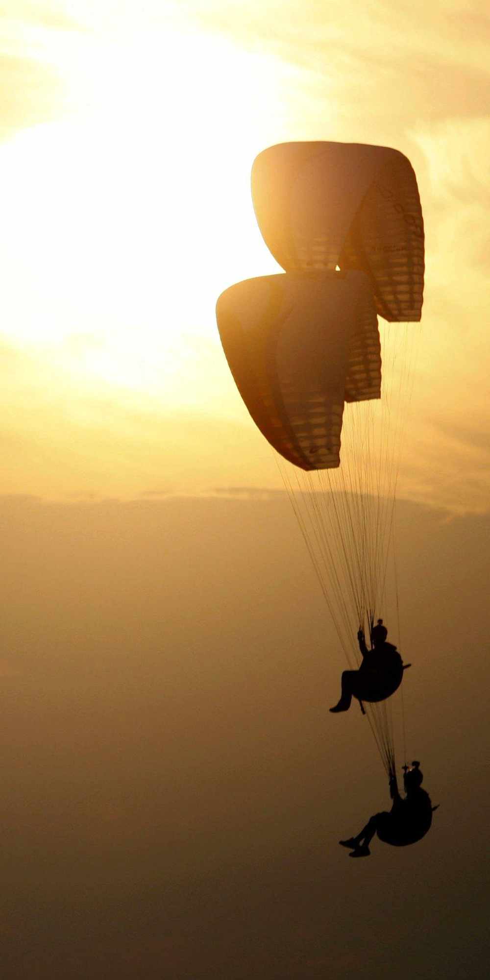 Klitoris va jingalak ayollarning vulvasi