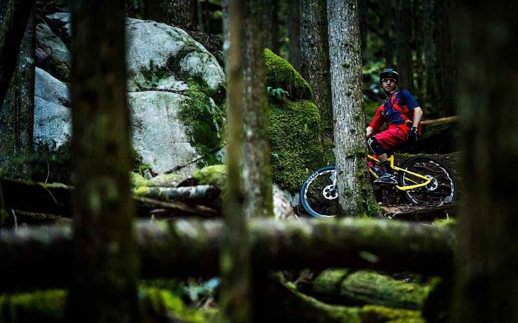 cougar mountain bike trails
